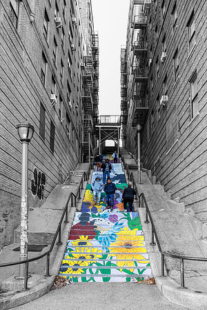 Floral Steps