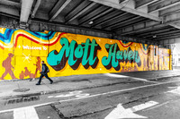 Welcome to Mott Haven